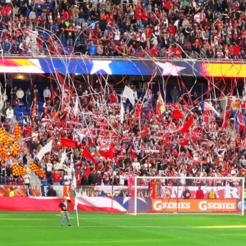 red bulls