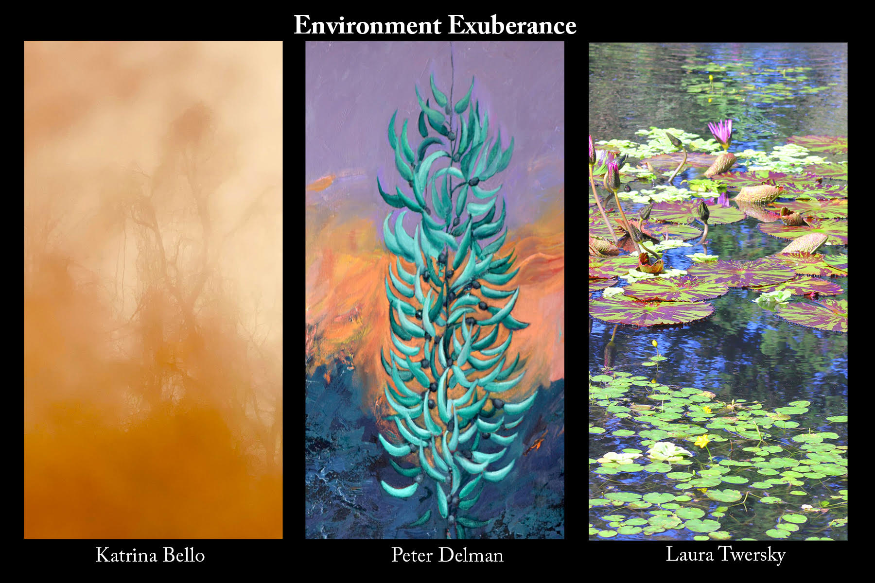 Environmental Exuberance art from Katrina Bello, Peter Delman, and Laura Twersky