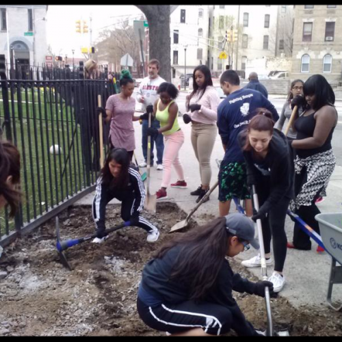 Students volunteering