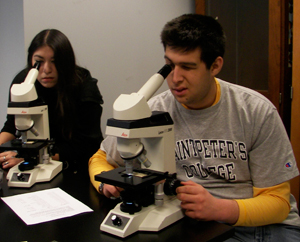 students using light microscope