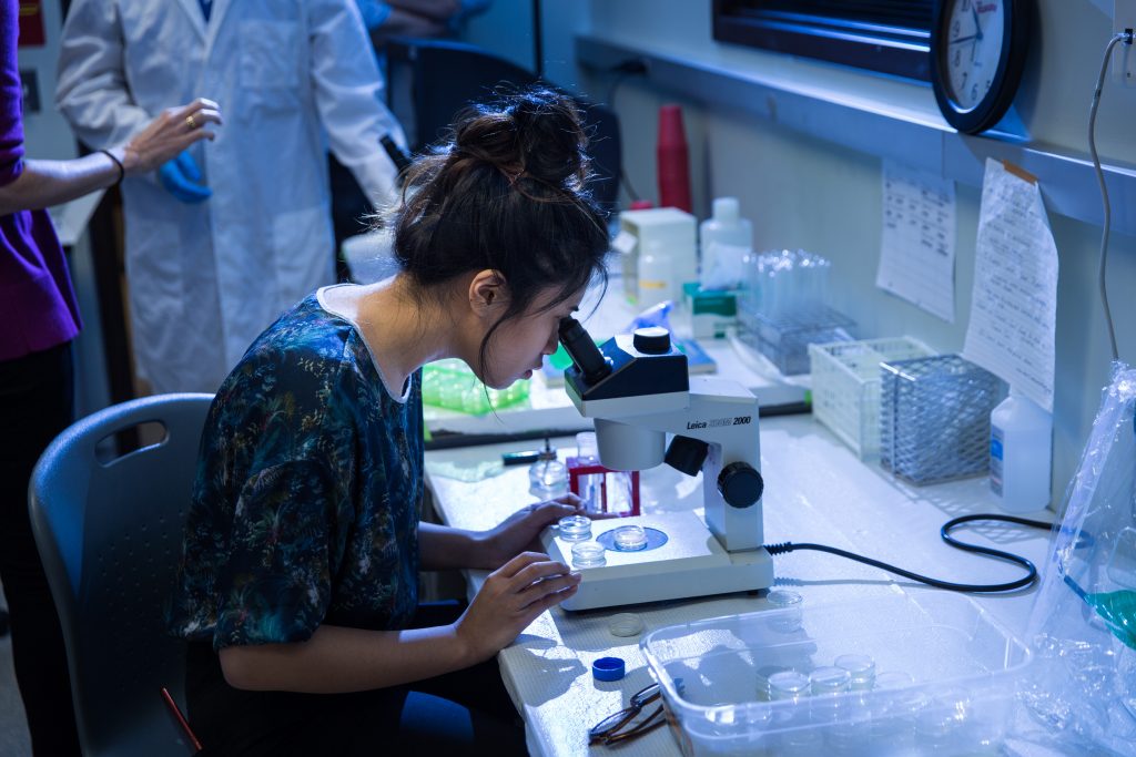 STEM student with microscope